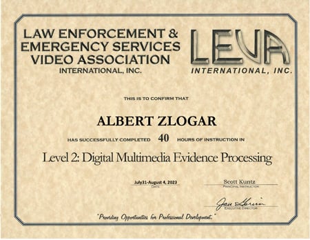 Level 2: Digital Multimedia Evidence Processing